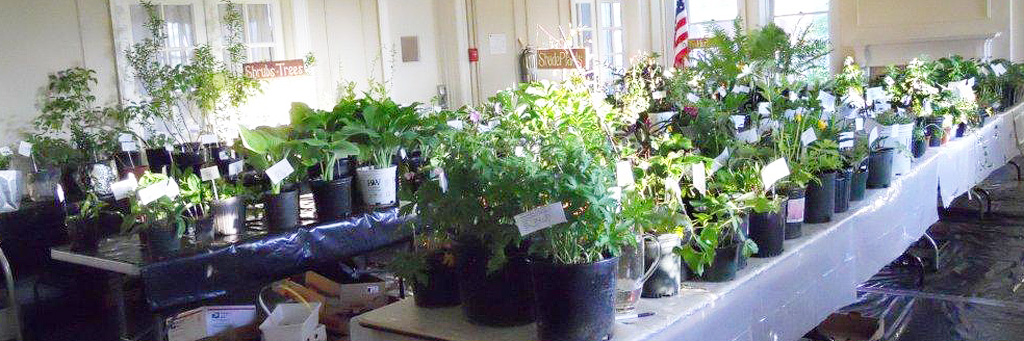 May Plant Sale & Auction May 8th